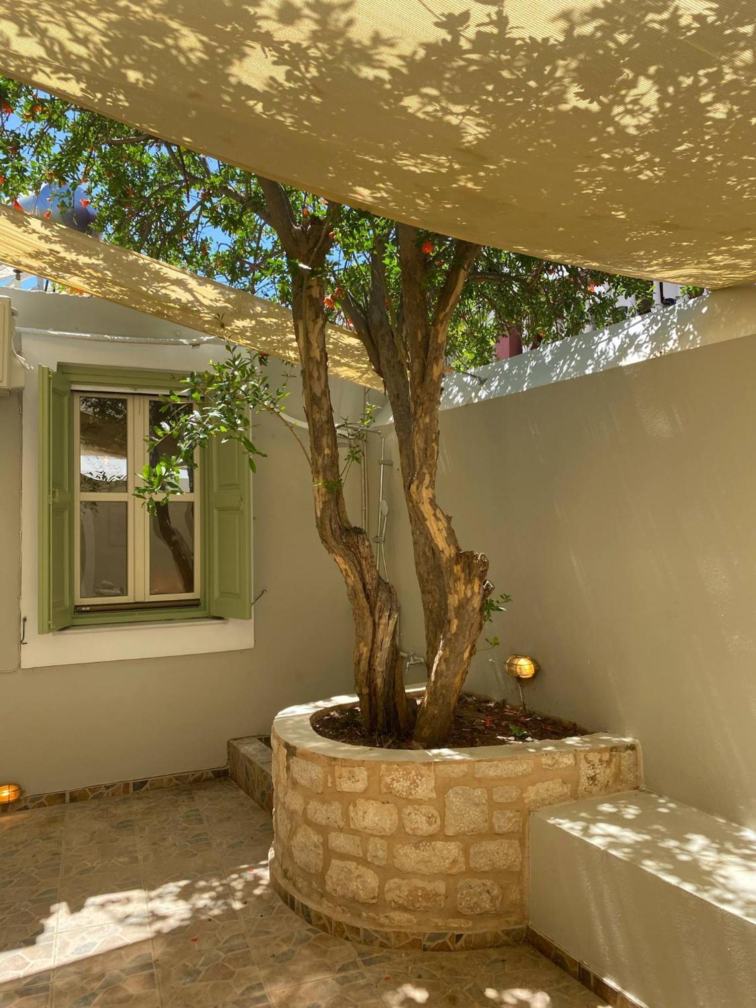 Villa Theoni Chalki Town Exterior photo